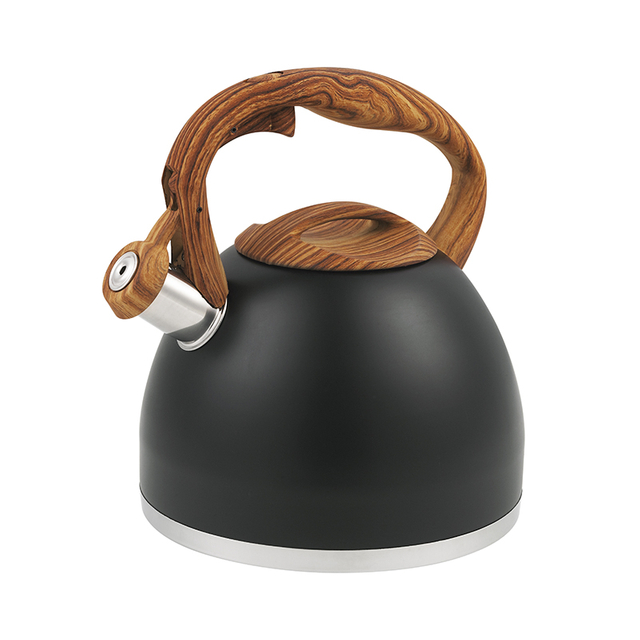 Hervidor de agua de inducción de tetera de té con silbido de acero inoxidable de diseño profesional