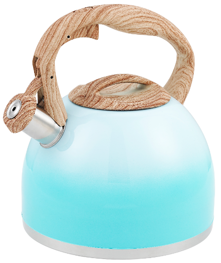 Hervidor de agua de inducción de tetera de té con silbido de acero inoxidable de diseño profesional